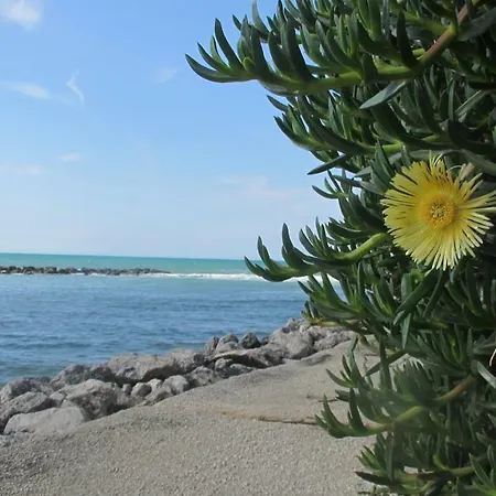Sapori Di Mare * Trappeto (Sicily)