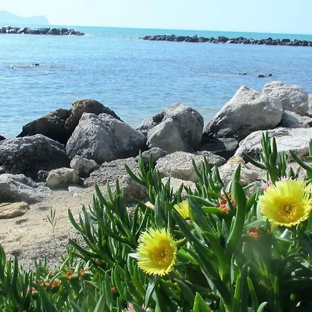 Sapori Di Mare Apartment Trappeto (Sicily)